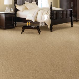 Carpet that will work with your family 